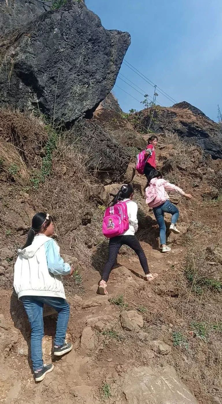 微信图片_20190416175423.jpg